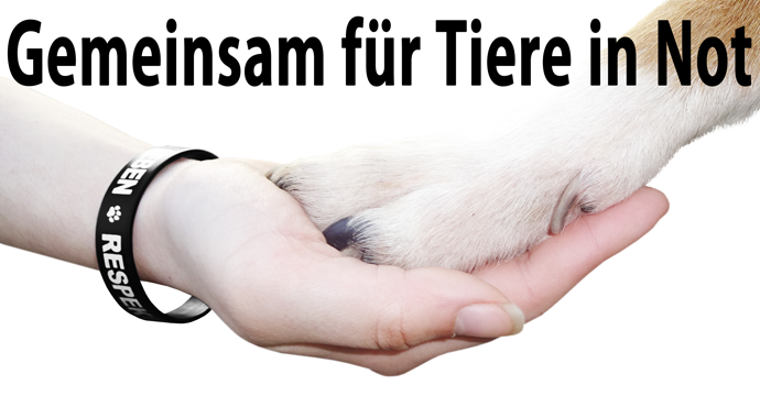 RespekTiere-Leben-Tierschutz-Gemeinsam-fuer-Tiere-in-Not