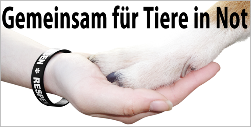 Tieren-helfen-RespekTiere-Leben-Tierschutz-000999